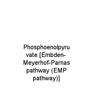Phosphoenolpyruvate [Embden-Meyerhof-Parnas pathway (EMP pathway)]